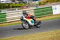 Vintage-motorcycle-club;eventdigitalimages;mallory-park;mallory-park-trackday-photographs;no-limits-trackdays;peter-wileman-photography;trackday-digital-images;trackday-photos;vmcc-festival-1000-bikes-photographs